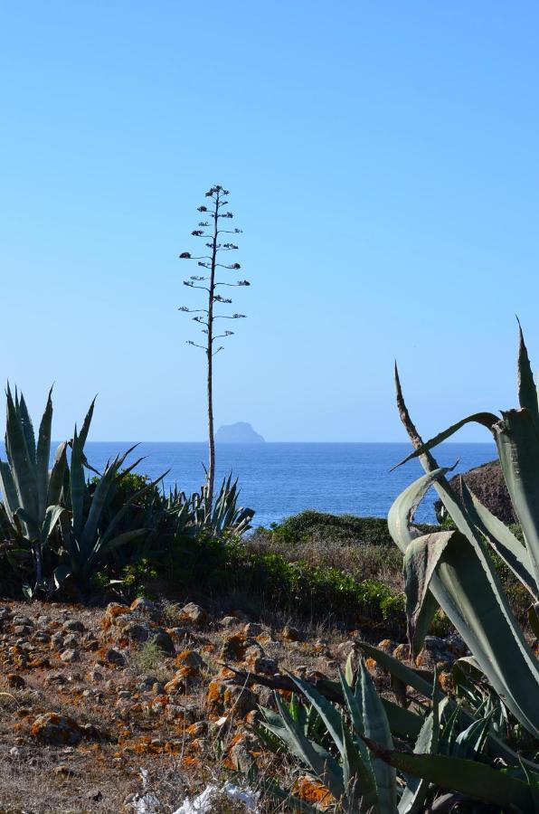 Casa Vacanze Cala Sapone ซานตันตีโอโก ภายนอก รูปภาพ